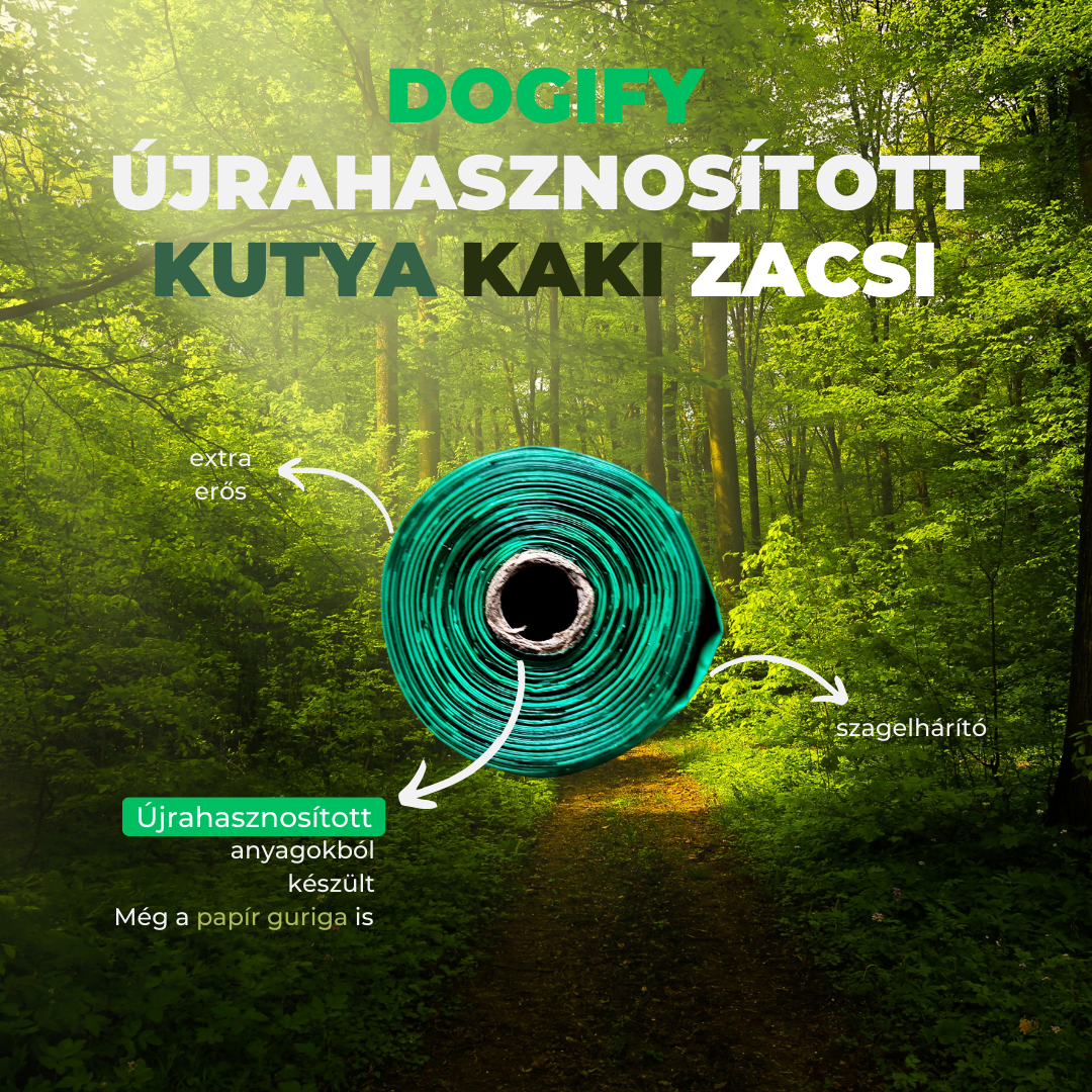 Újrahasznosított Kaki Zacsi