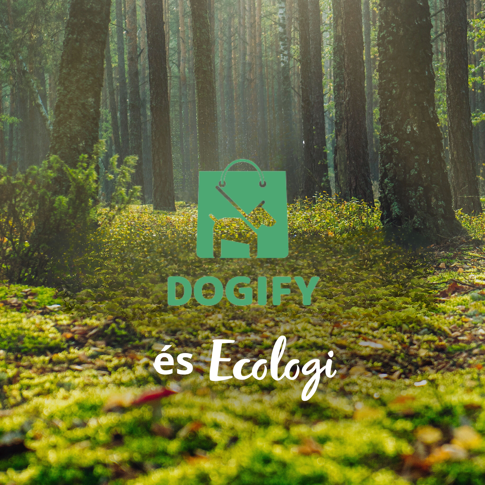 A Dogify termékek vásárlása egy fát ültet! Az Ecologi-val közösen hozzájárulunk a bolygónk erdős területeinek megőrzéséhez és regenerálásához