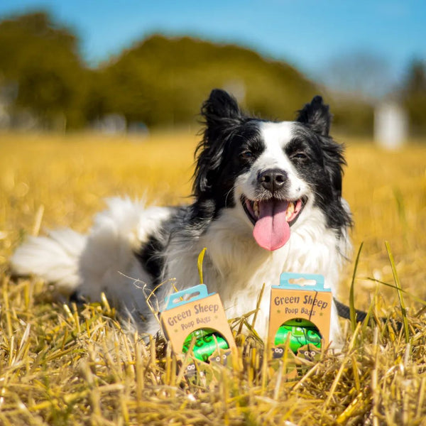 Dogify Újrahasznosított Kutya Kaki Zacsi