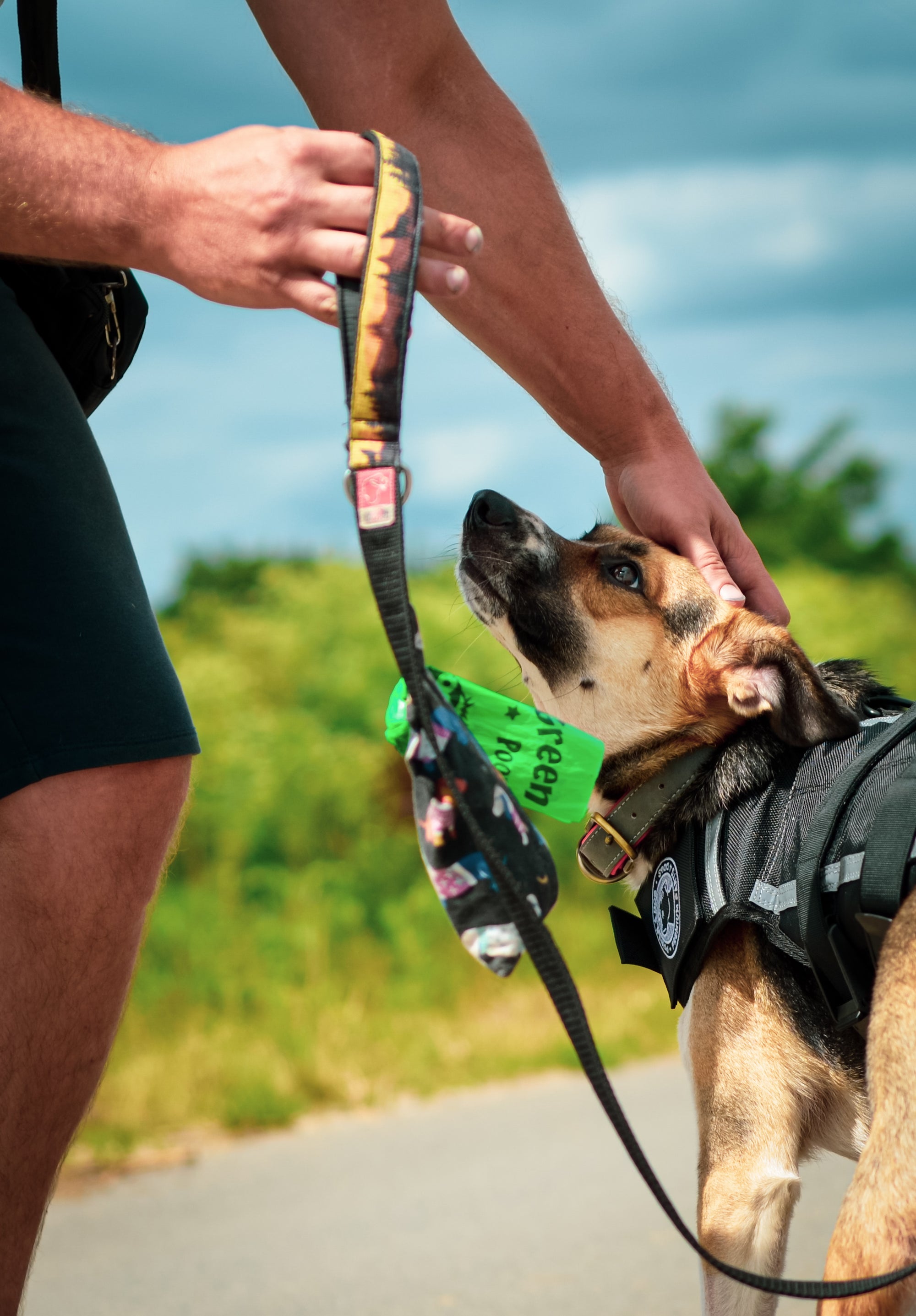 Dogify Újrahasznosított Kutya Kaki Zacsi